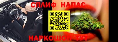 шишки Бузулук