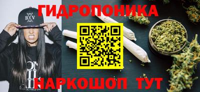 шишки Бузулук