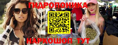 шишки Бузулук
