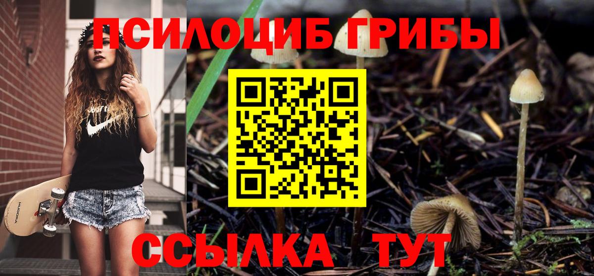 закладка  Псилоцибиновые грибы ЛСД  Вход с VPN  Спасск-Дальний 